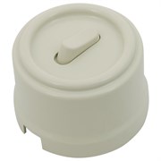 Выключатель/переключатель клавишный, перекрестный, одинарный, пластик, шалфей, Jantera, JCA.0K21.PG04