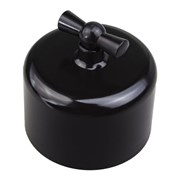 Выключатель/переключатель поворотный, проходной, одинарный, пластик, черный, Jantera, JAD.0R11.PG01