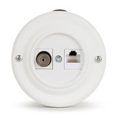 Розетка ретро информационная RJ45+TV (CAT. 5E), Белый матовый, белая вставка, VINTAGE-BRASS 40401-4