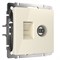 Розетка ТВ+Ethernet RJ-45 6 cat.(слоновая кость), Werkel, W1181303 - фото 113800