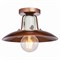 Потолочный светильник Lussole  Vermilion LSP-8162 - фото 82025
