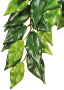 Тропическое растение Exo Terra Jungle Plants пластиковое Фикус среднее 55х25 см.
