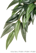 Тропическое растение Exo Terra Jungle Plants пластиковое Рускус среднее 55х25 см.