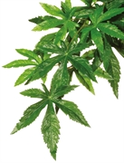 Тропическое растение Exo Terra Jungle Plants пластиковое Абутилон среднее 55х20 см.